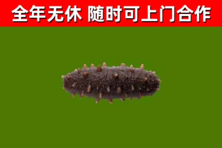 谢岗镇烟酒回收干海参.jpg